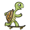 Skate Turtle