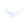 Aigle