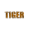Tiger design