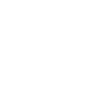 feuilles et baies blanches