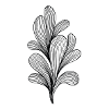 bush black