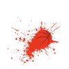 Champion de basket-ball