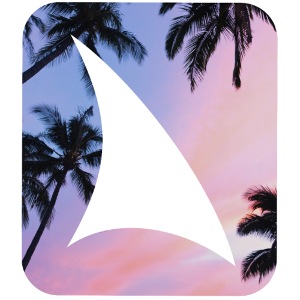 DAILY DOSE logo palm trees