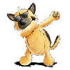 Dab Dance German Shepherd