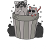 Raccoon and rat