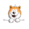 Niemals Ohne Akita Hund