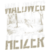 MTB Mountainbiker - Waldweg Heizer