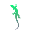 Gecko Salamander Lizard