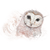 Owl on wood