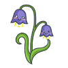 Bluebell flowers