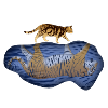 Cat vs tiger reflection puddle