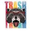 racoon