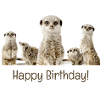 Bon anniversaire