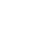 Saxophone Instrument