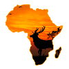 Afrique Animal