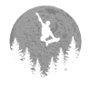 Skater Skateboard Stunt Moon Skater