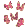 Papillon papillon nature