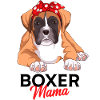 Boxer dog
