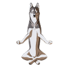 Meditate Siberian Laika Dog