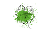 Shamrock clover
