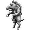 wild boar