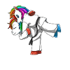 Lustiges Judo Einhorn