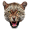 Spotted panther