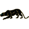 schwarzer Panther