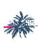 PALM ANGELS