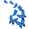 Butterflies