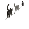 black cats