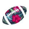 tropical rugby