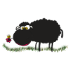 black sheep