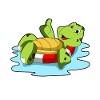 Tortue nageant dans l'eau