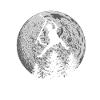 Scooter Stunt Tretroller Geschenk