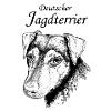 Deutscher Jagdterrier Portrait
