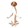 Meditate English Pointer Dog