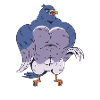 Bodybuilder pigeon