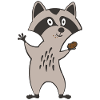 cookie racoon