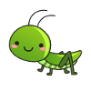 Cute grasshopper insect