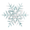 Snow Crystal
