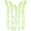 Asperges Spargel