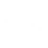 Model S Face