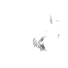 WILD WOLF