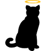 Angel cat - Chat ange - Engelskatze