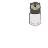 Poisson de l’année