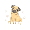 pug