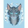 jayfeather jay feather blue