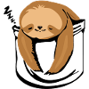 Funny sloth in cup