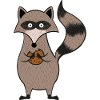 cookie racoon